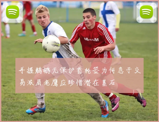 手握鹈鹕无保护首轮签为何急于交易浓眉老鹰应珍惜潜在基石