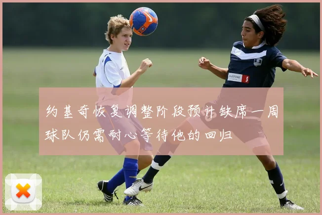 约基奇恢复调整阶段预计缺席一周球队仍需耐心等待他的回归